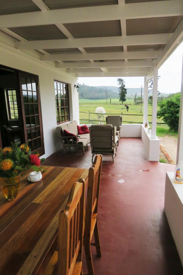 Out Of Plett Villa Plettenberg Bay Eksteriør billede